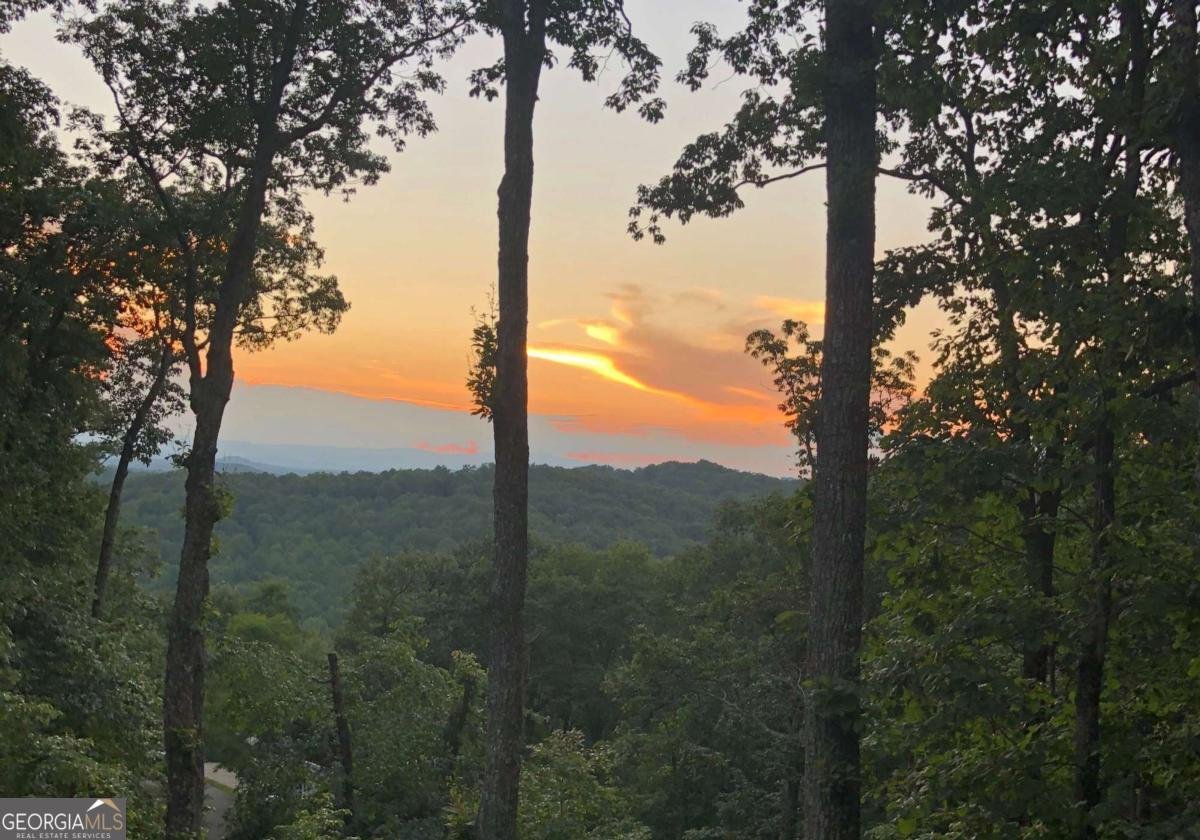 97 Deer Ridge Morganton - 61