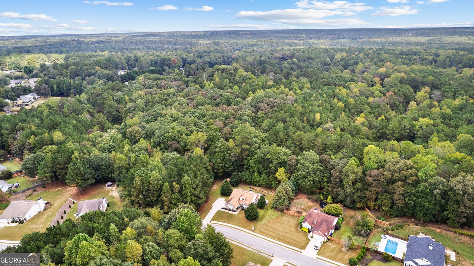 121 Meadowbrook Lane Grantville - 46