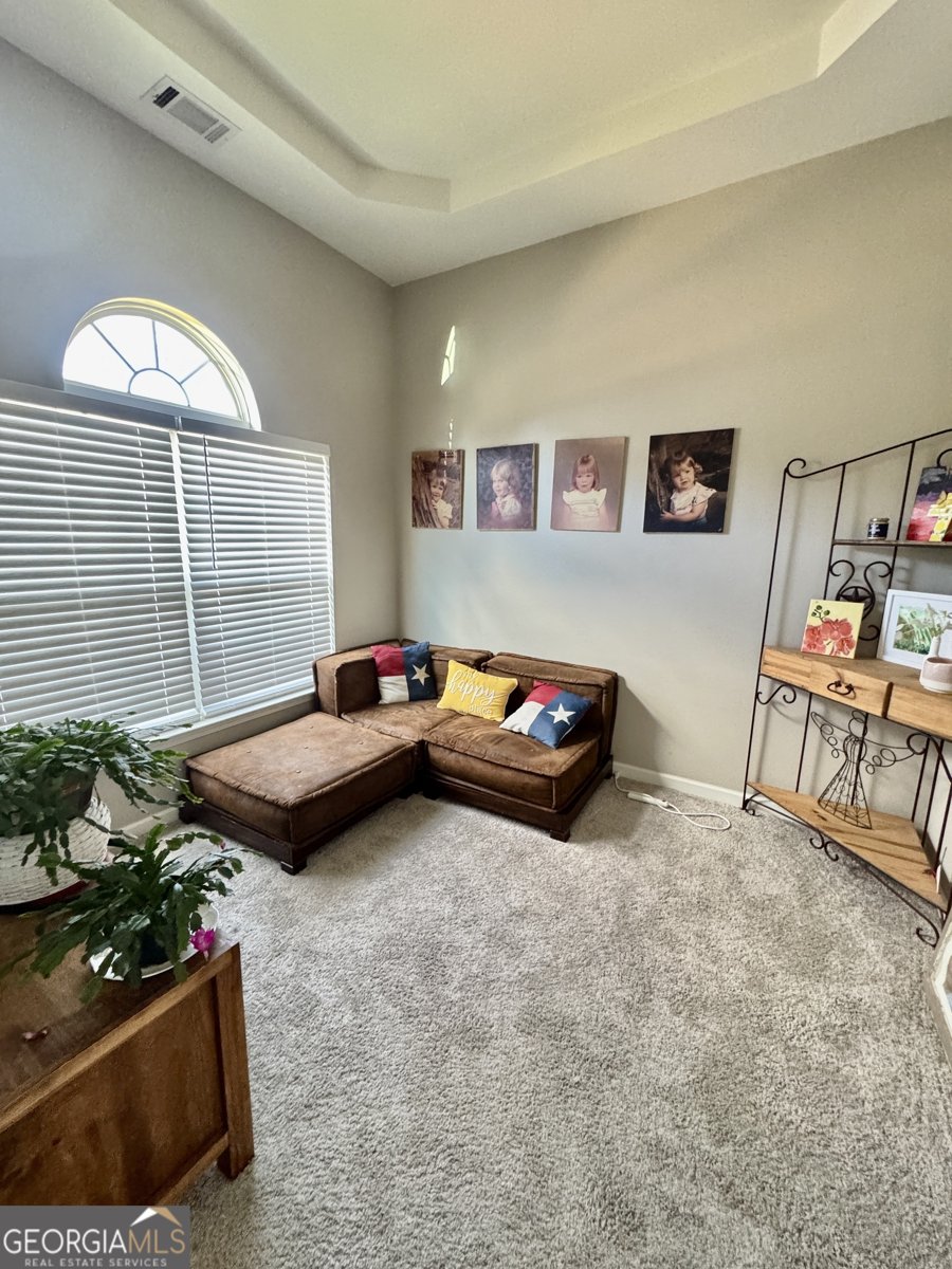 404 Pierpont Court Canton - 12