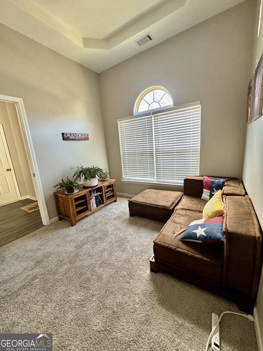 404 Pierpont Court Canton - 13