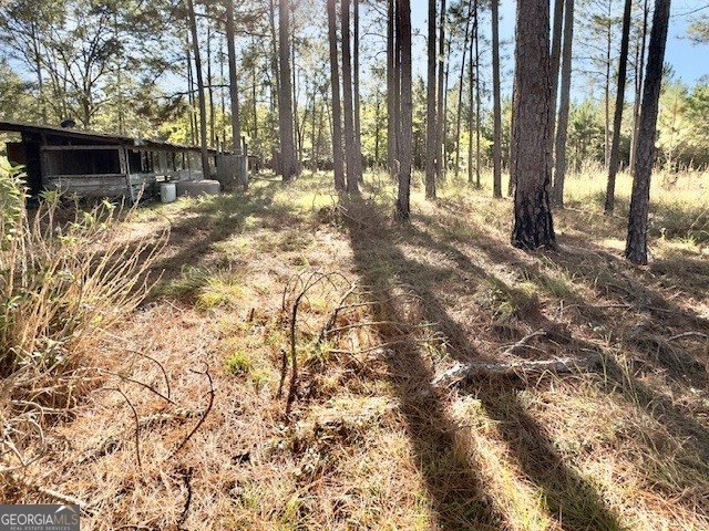 4421 Albert Rahn Road Glennville - 30