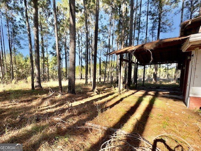 4421 Albert Rahn Road Glennville - 31