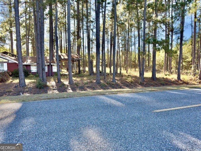 4421 Albert Rahn Road Glennville - 38