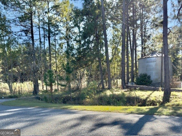 4421 Albert Rahn Road Glennville - 39