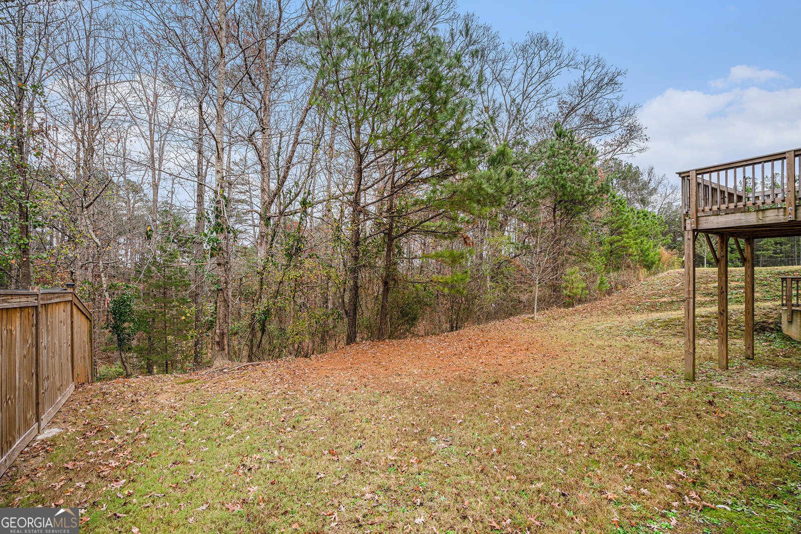 2428 Hanover Woods Road Lithonia - 25