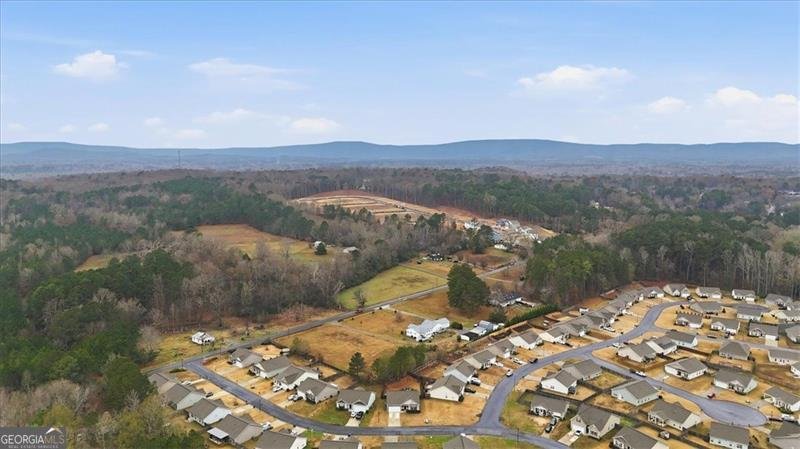 11 WILLOWRUN Rome - 42