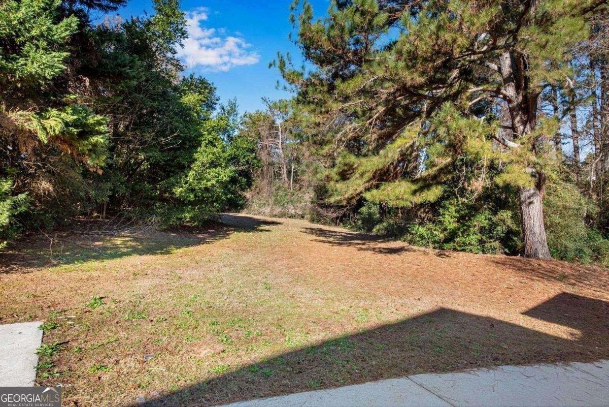 1019 Henna Court Conyers - 54