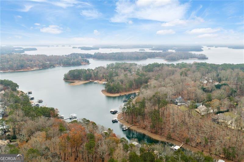 2420 Wanda Woods Road Cumming - 60