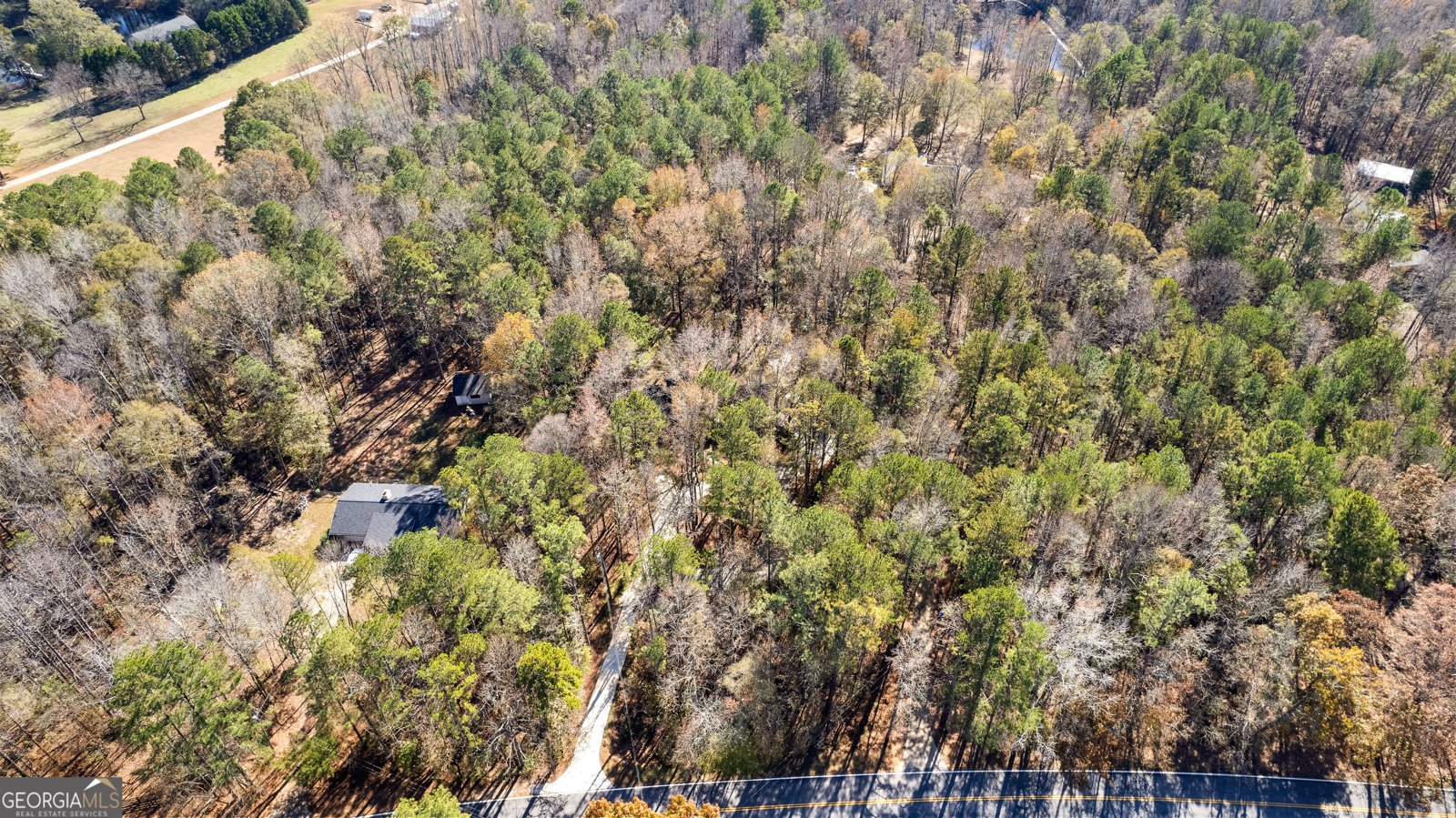 12030 Hutcheson Ferry Road Chattahoochee Hills - 4