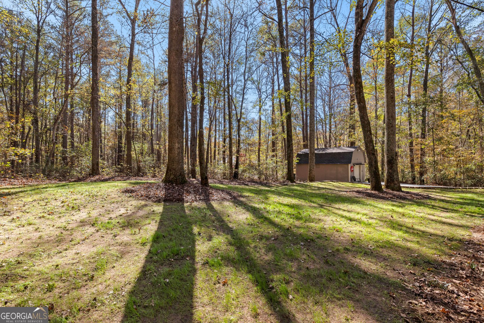 12030 Hutcheson Ferry Road Chattahoochee Hills - 58