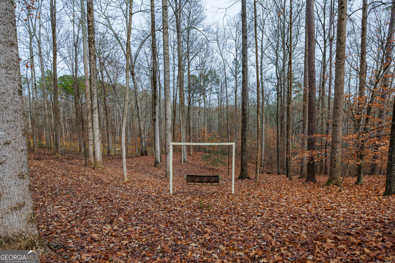 1002 Iron Mountain Road Canton - 11