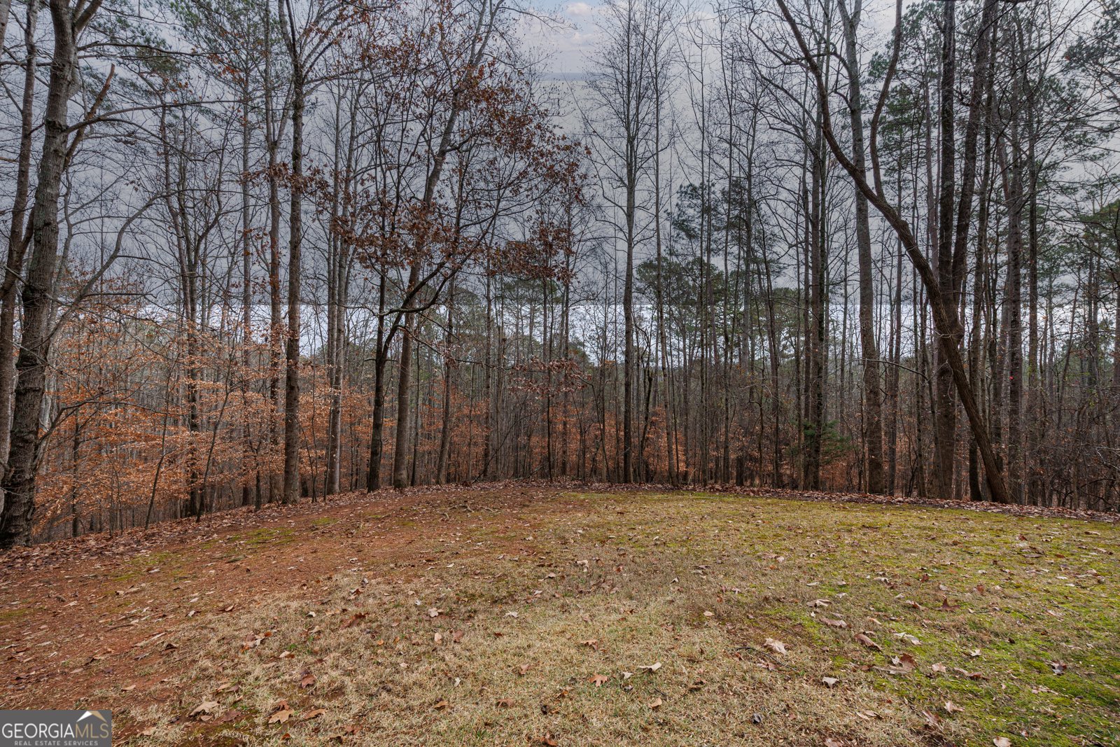 1002 Iron Mountain Road Canton - 12