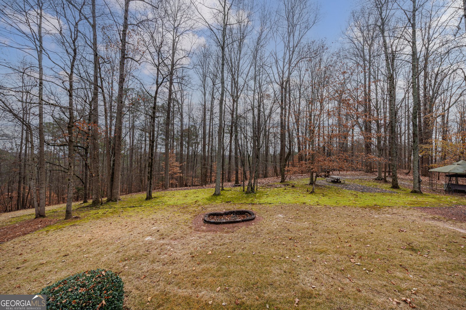 1002 Iron Mountain Road Canton - 17
