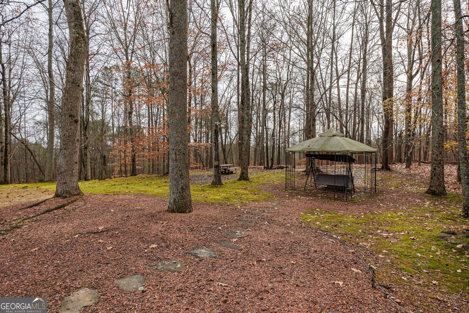 1002 Iron Mountain Road Canton - 2