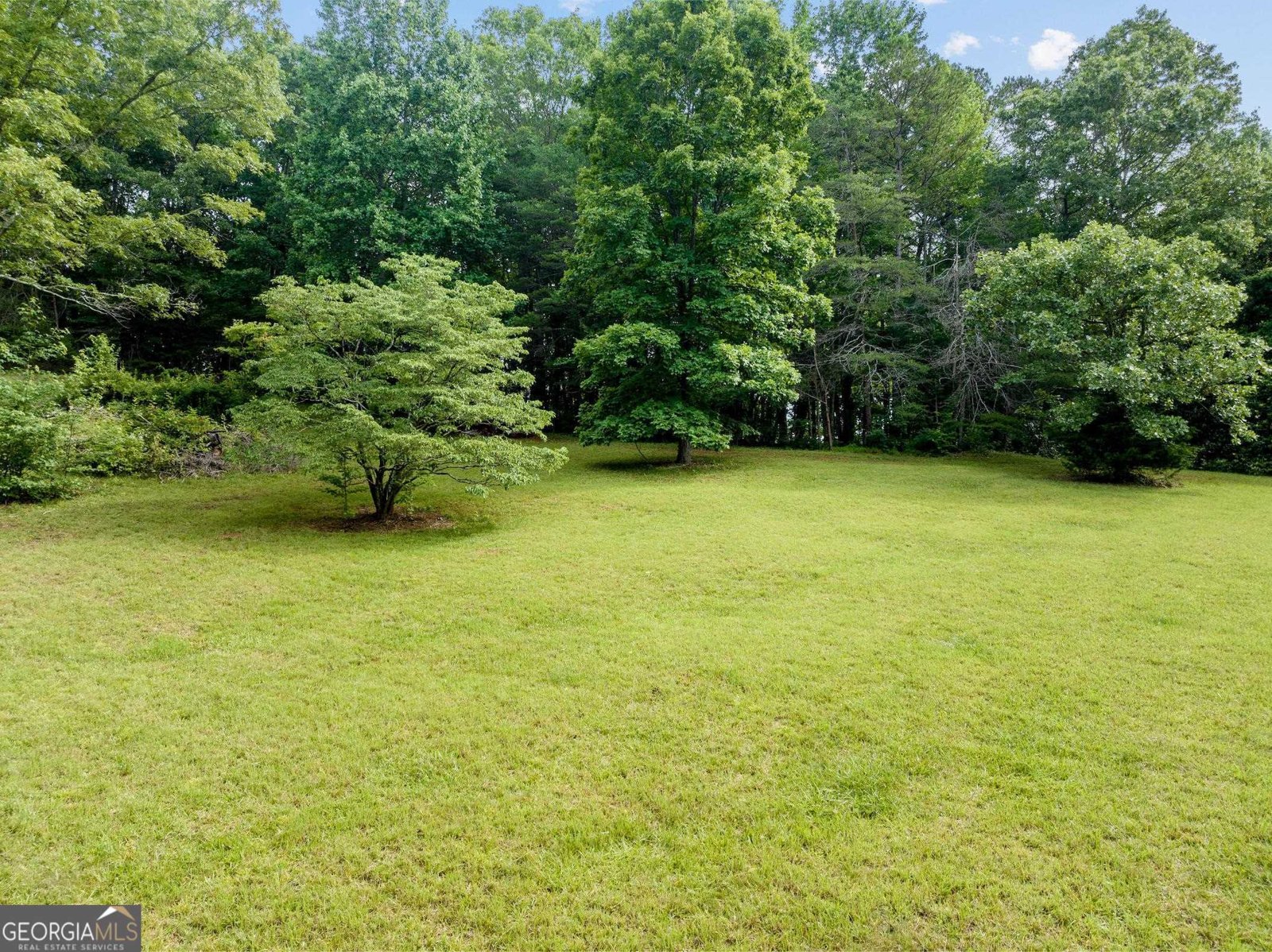 966 Wahoo Creek Road Murrayville - 66