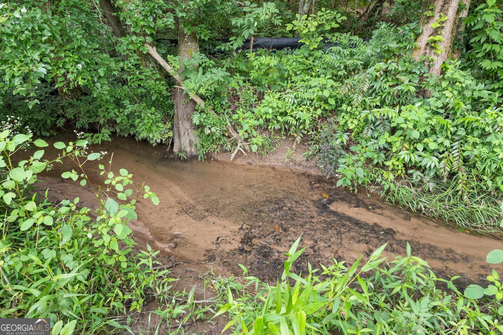 966 Wahoo Creek Road Murrayville - 69