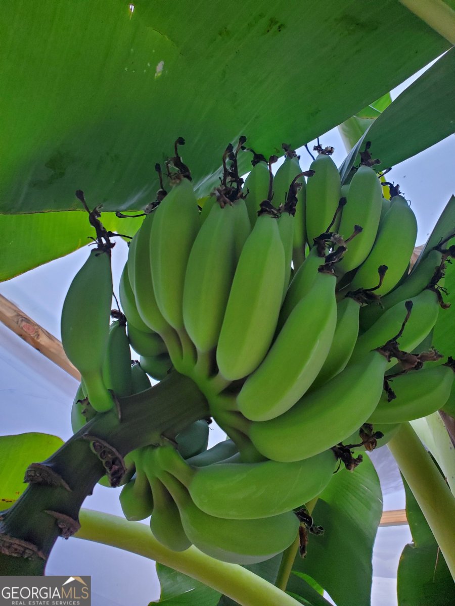 143 Arden Drive Swainsboro - 34