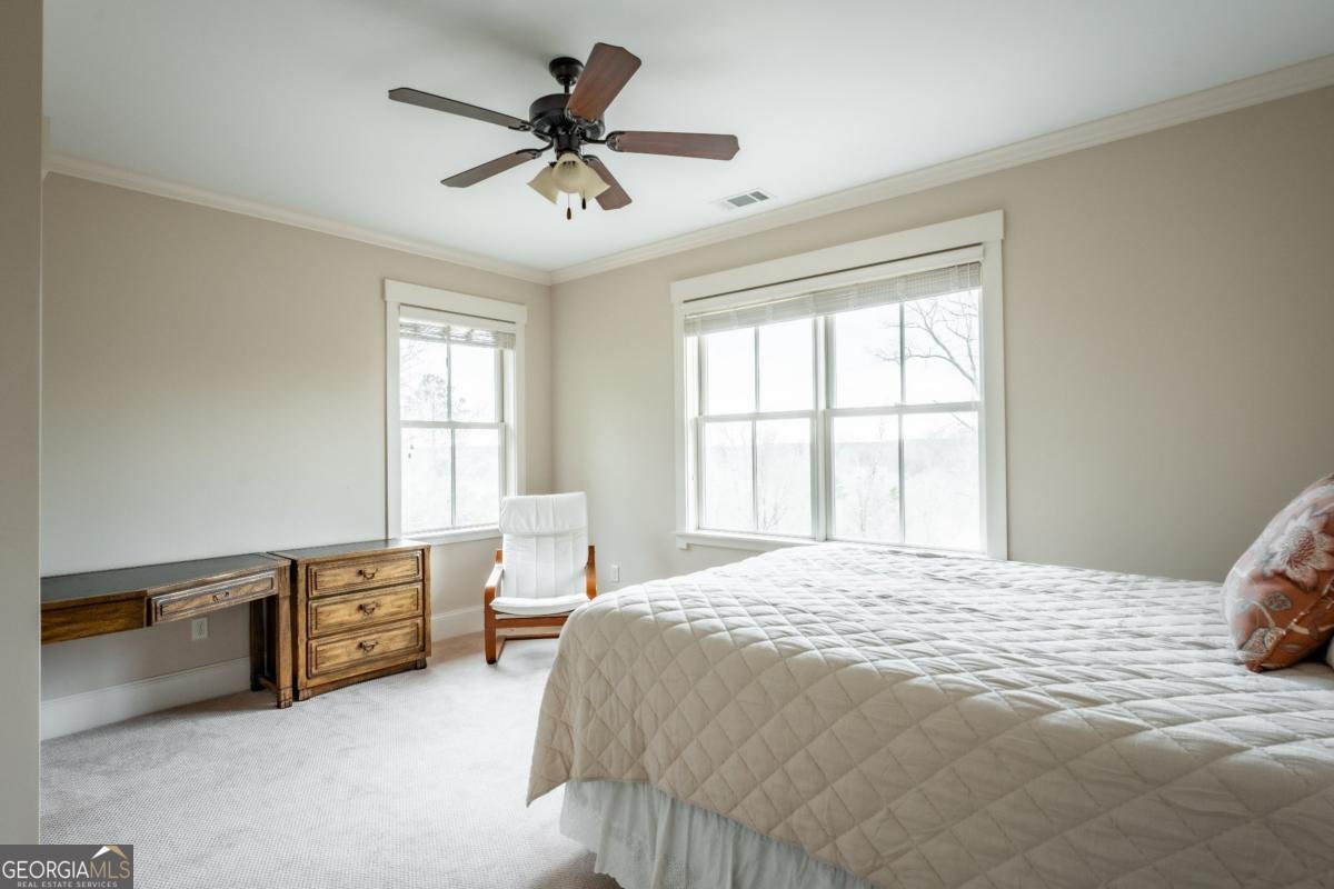 227 Sky View Court Newnan - 52