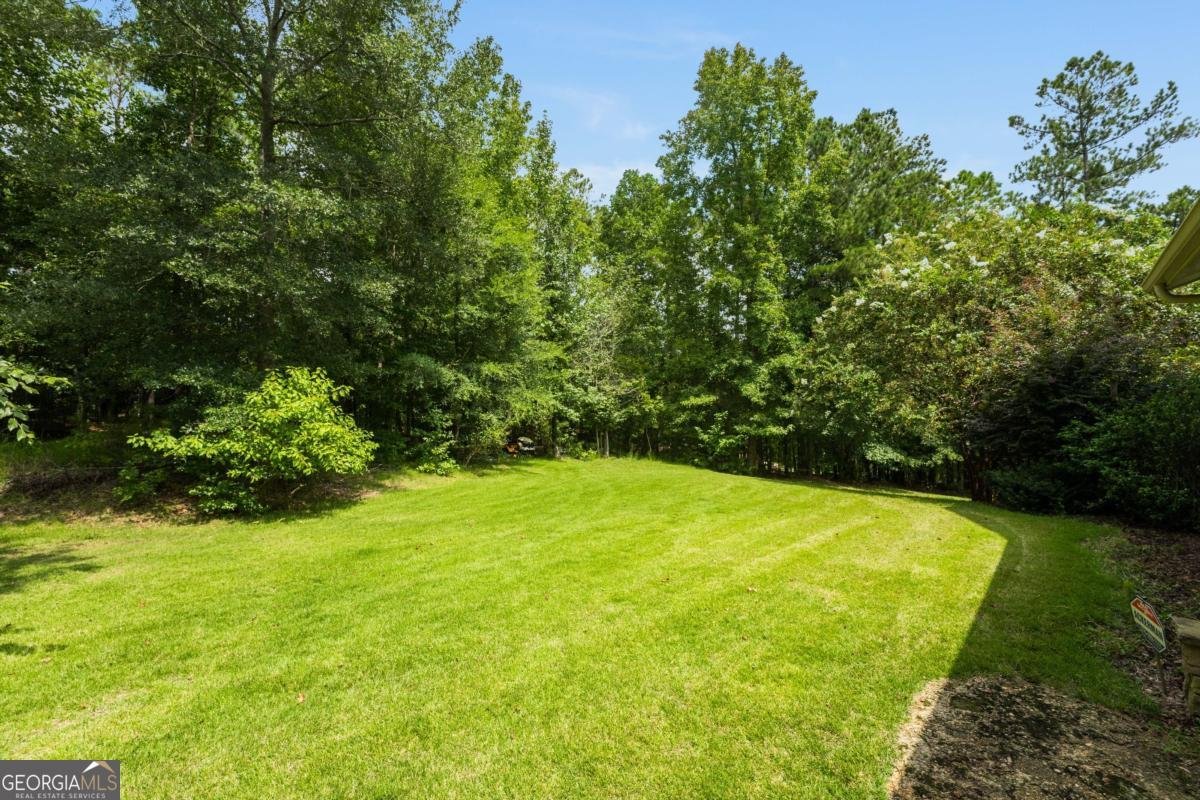 227 Sky View Court Newnan - 78