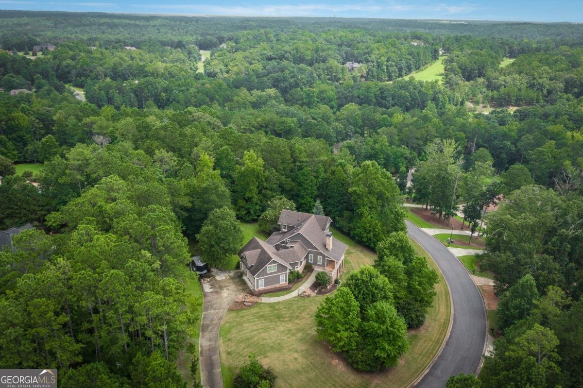 227 Sky View Court Newnan - 85