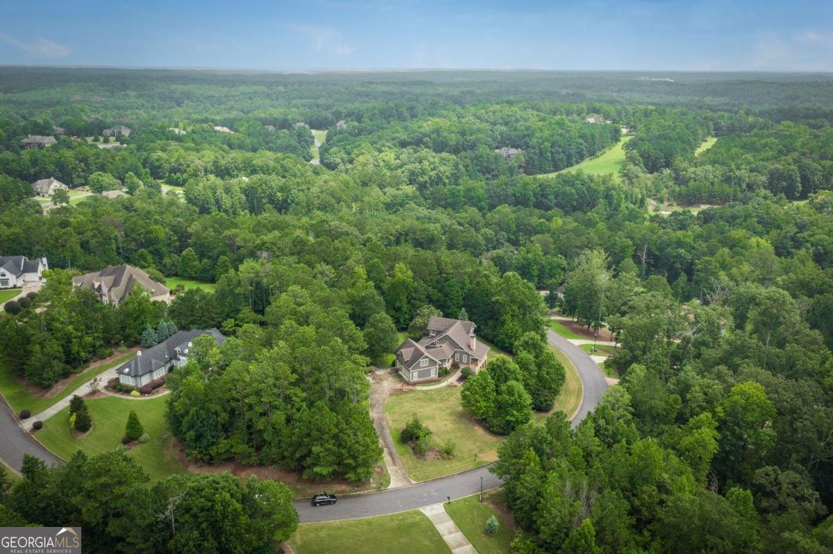227 Sky View Court Newnan - 86