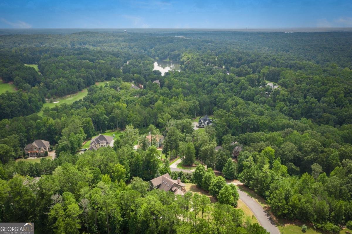 227 Sky View Court Newnan - 88