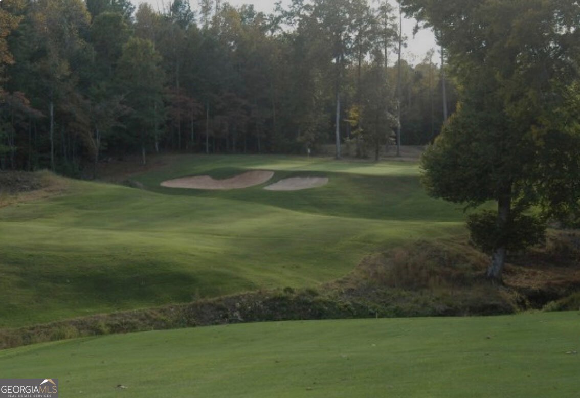 227 Sky View Court Newnan - 94