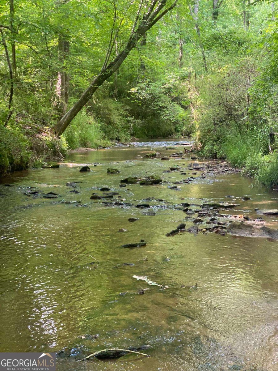 6675 Millwood Road Cumming - 3