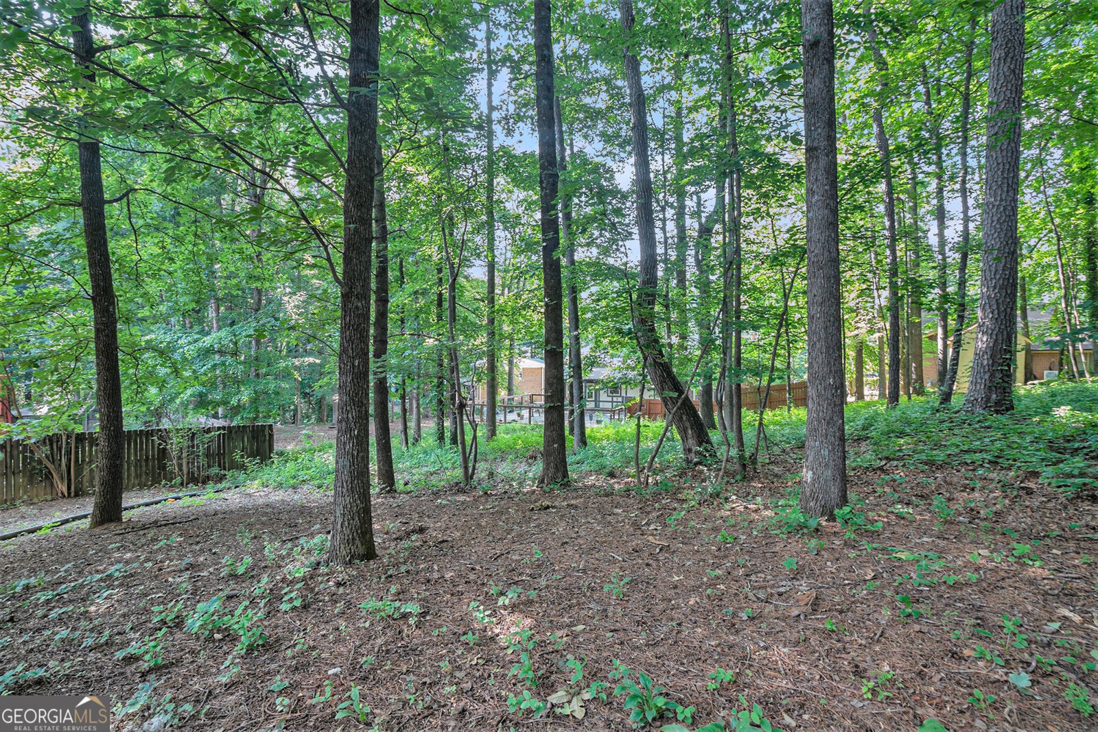 2063 Willow Chase Court Tucker - 49