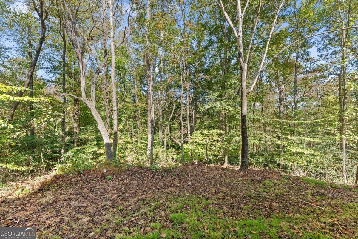 661 Forest Way Cornelia - 32