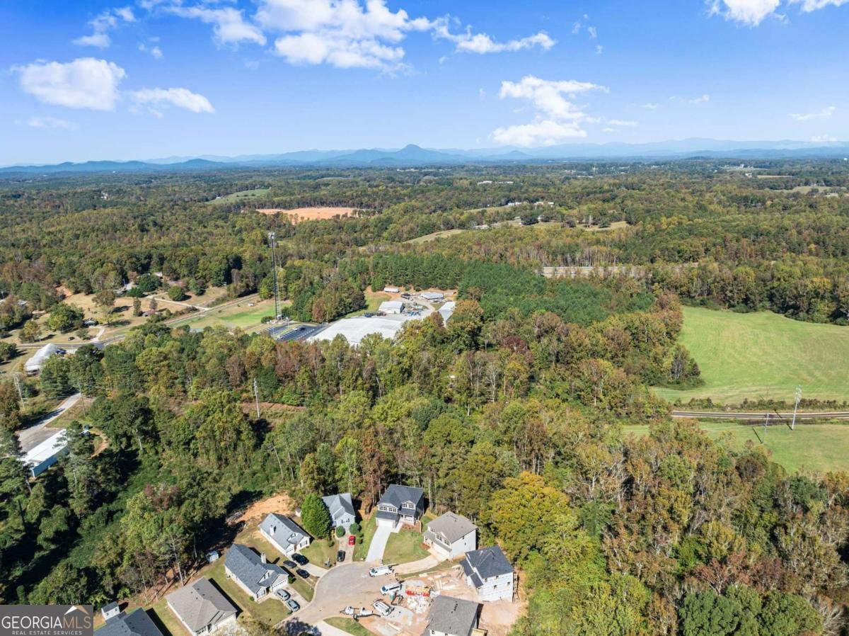 661 Forest Way Cornelia - 51