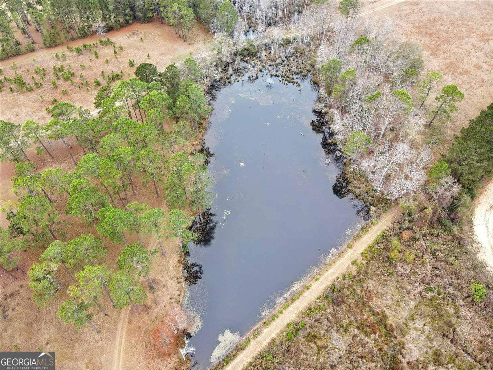 10544 Burkhalter Road Statesboro - 59