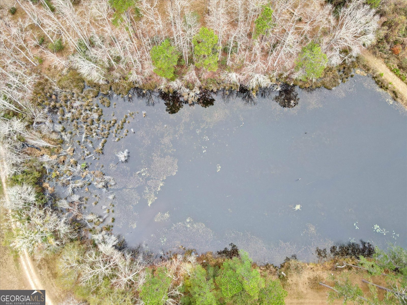 10544 Burkhalter Road Statesboro - 60