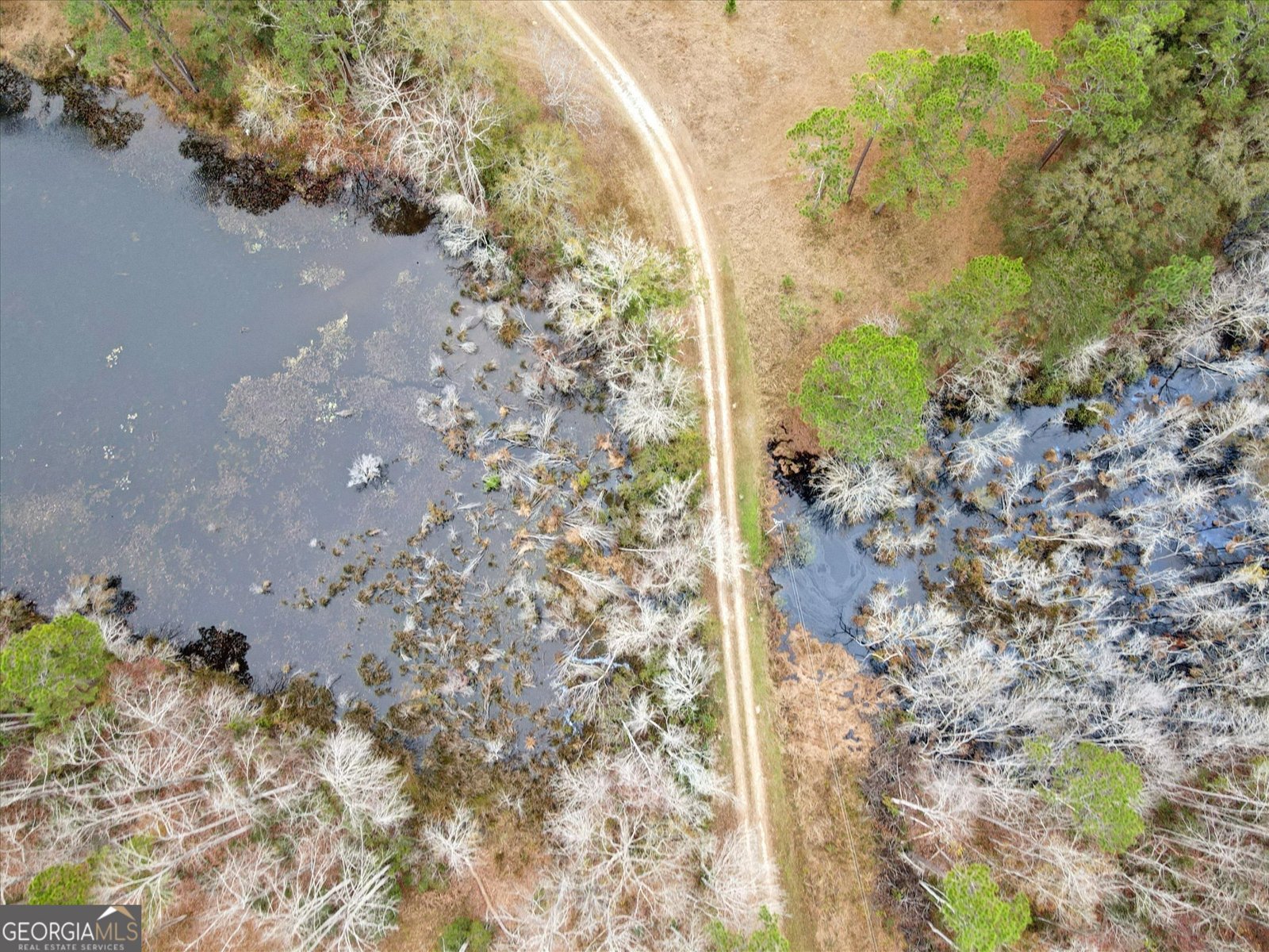 10544 Burkhalter Road Statesboro - 61