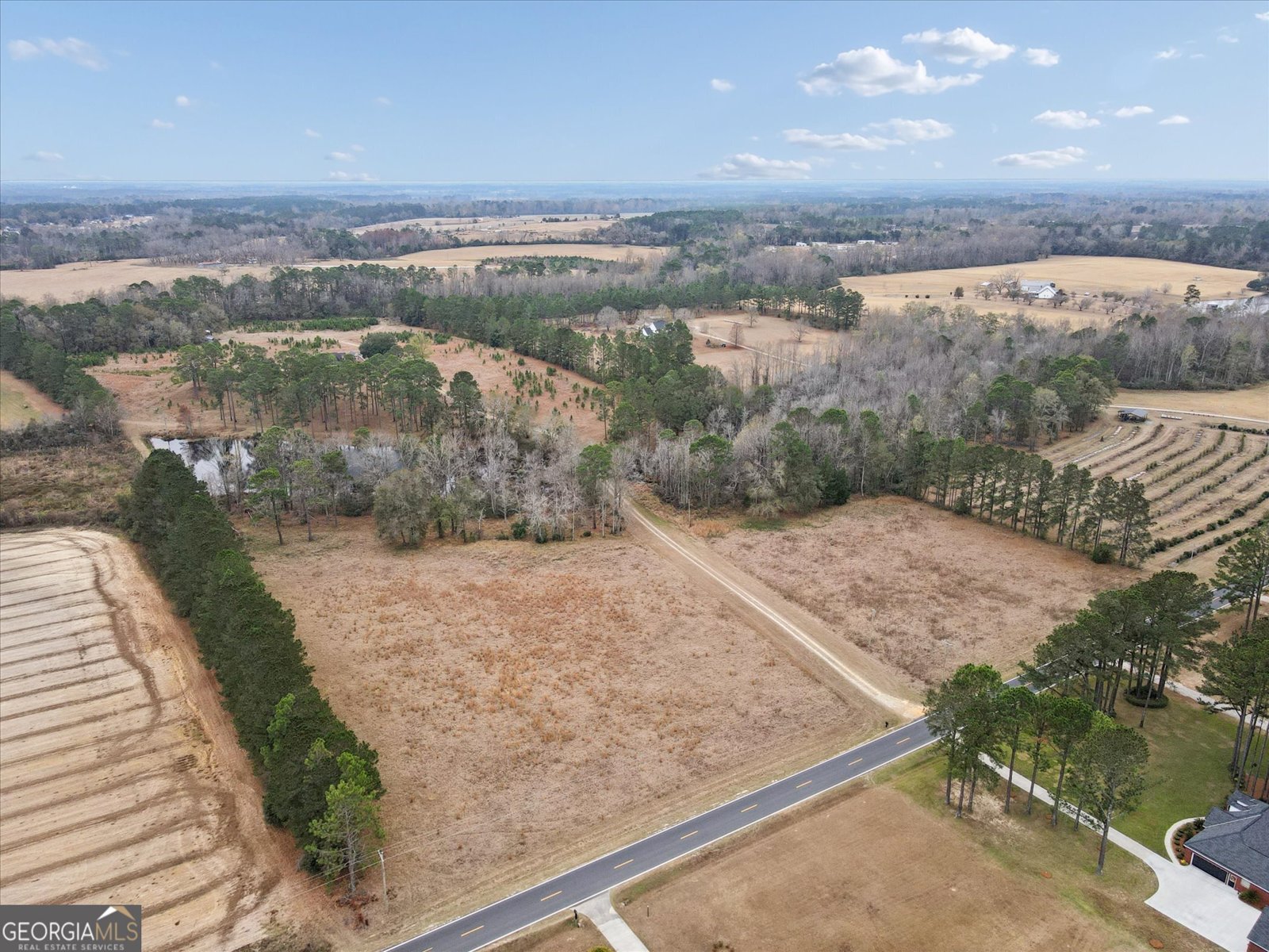 10544 Burkhalter Road Statesboro - 66