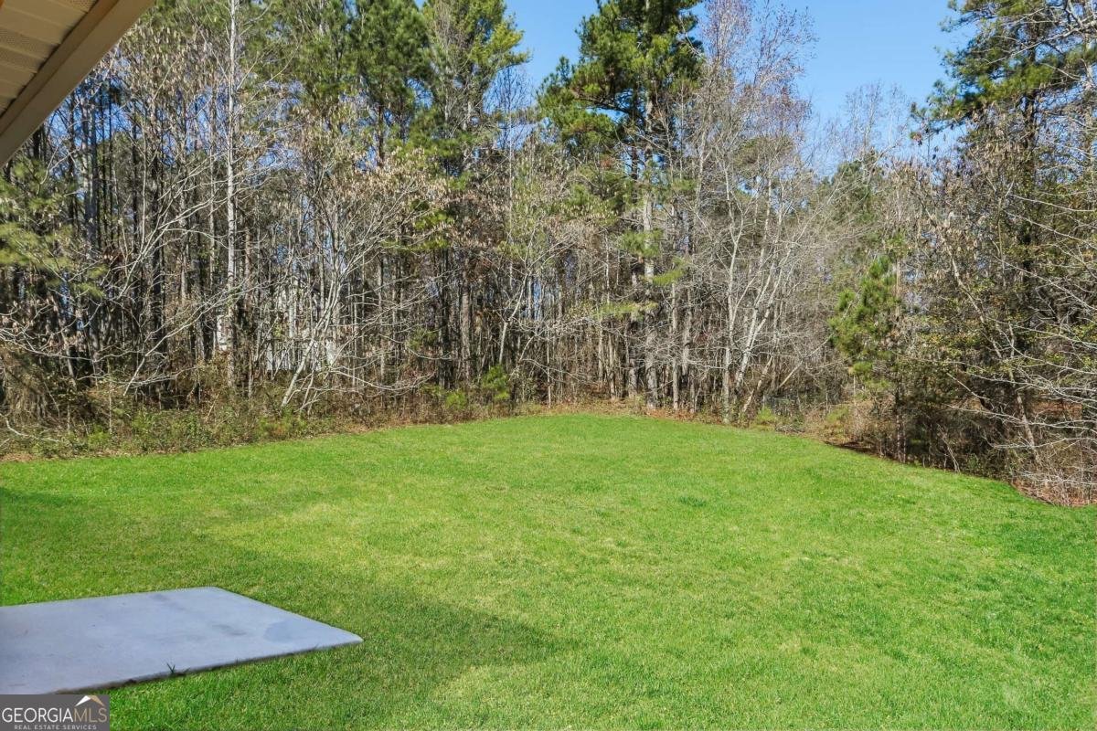 7886 Poppy Seed Place Winston - 11