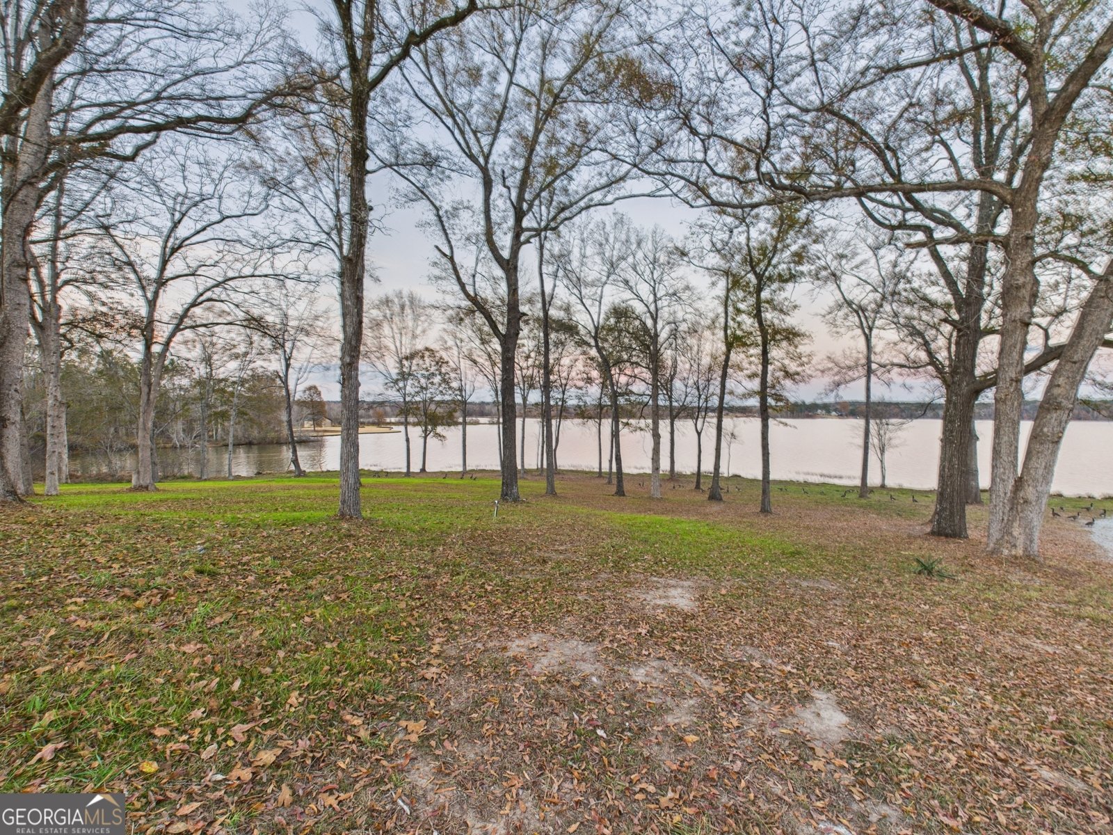 8294 Shelley Trail Macon - 74