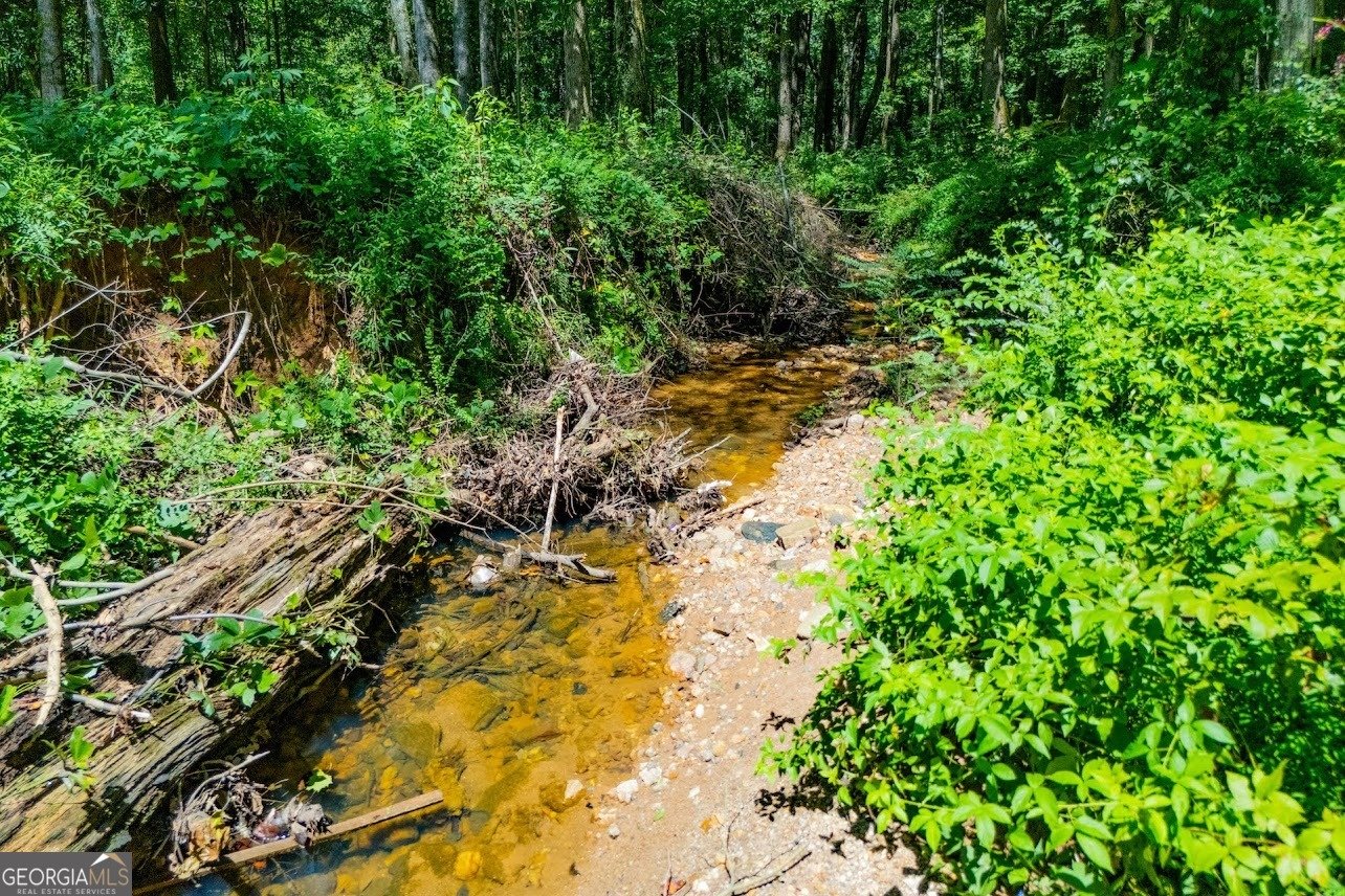 485 West Avenue Bowdon - 31