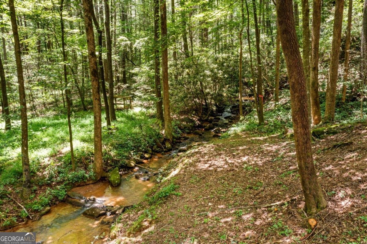 641 Bryant Farm Lane Ellijay - 3