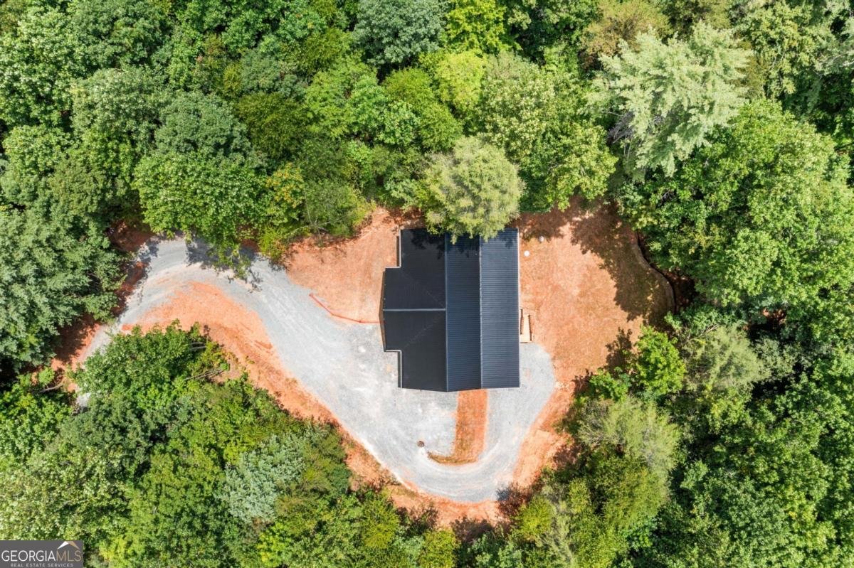 641 Bryant Farm Lane Ellijay - 6