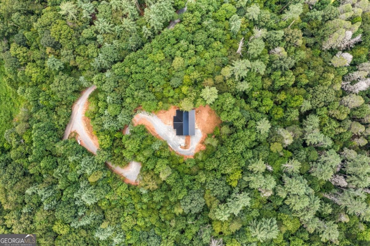 641 Bryant Farm Lane Ellijay - 7