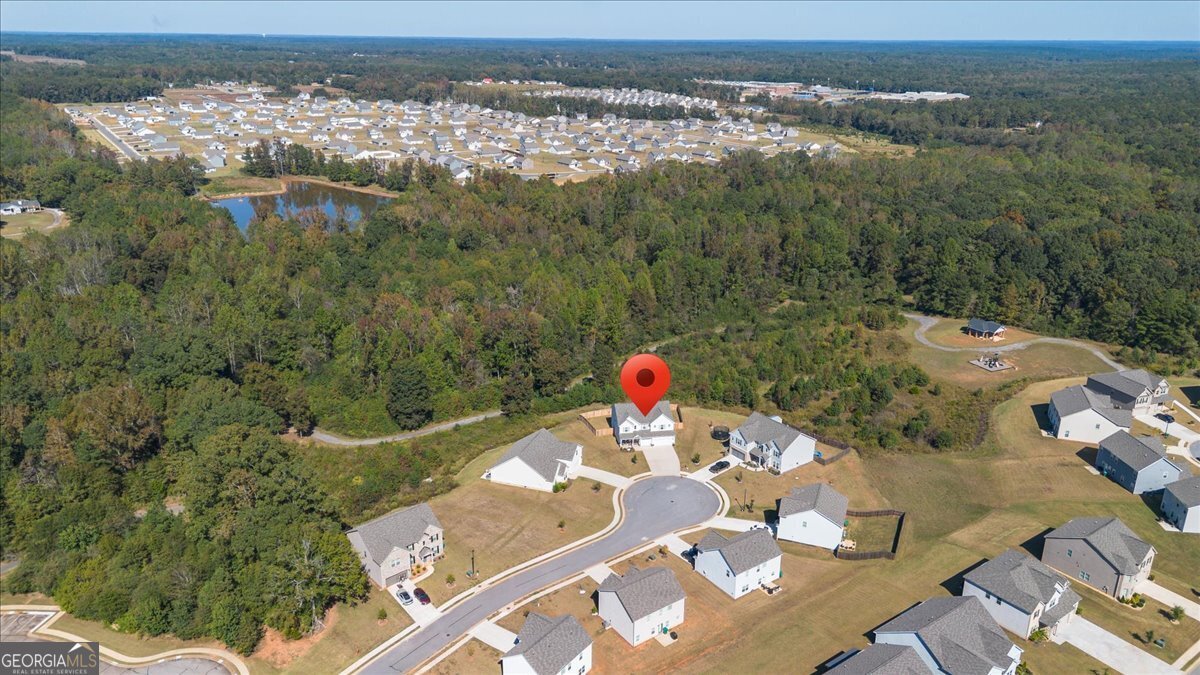 1171 Bodega Loop Locust Grove - 47