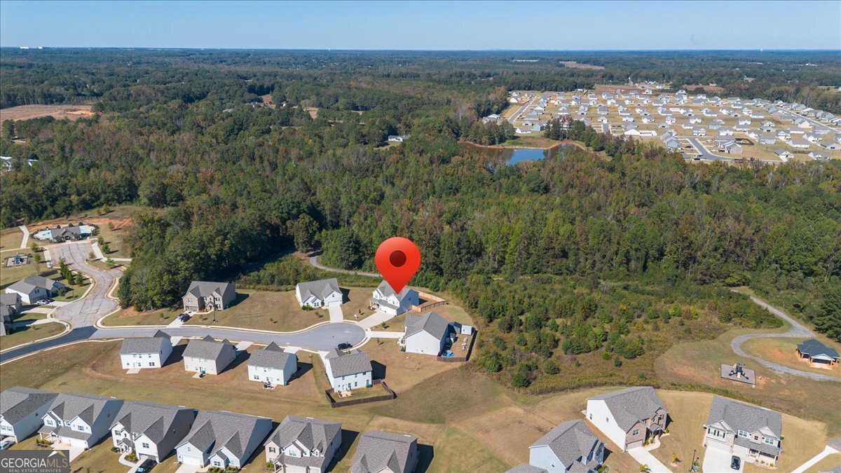 1171 Bodega Loop Locust Grove - 48