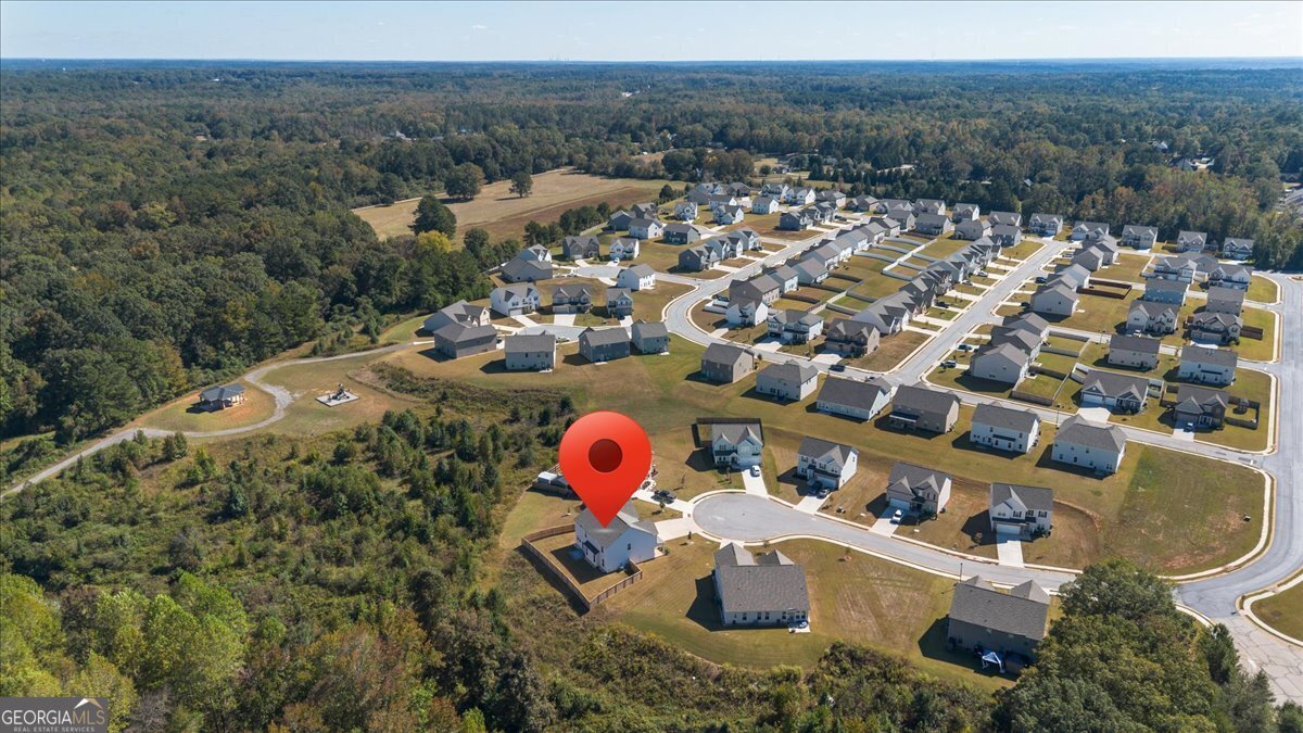 1171 Bodega Loop Locust Grove - 51