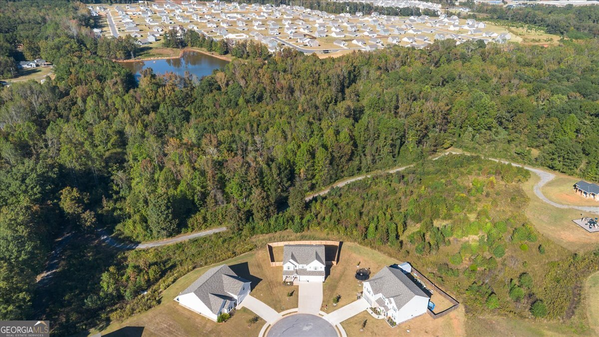 1171 Bodega Loop Locust Grove - 52