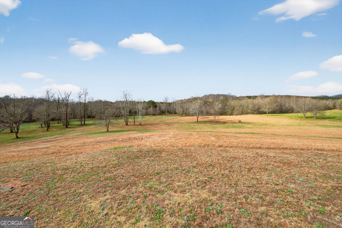 1035 McFarlin Bridge Road Carnesville - 72