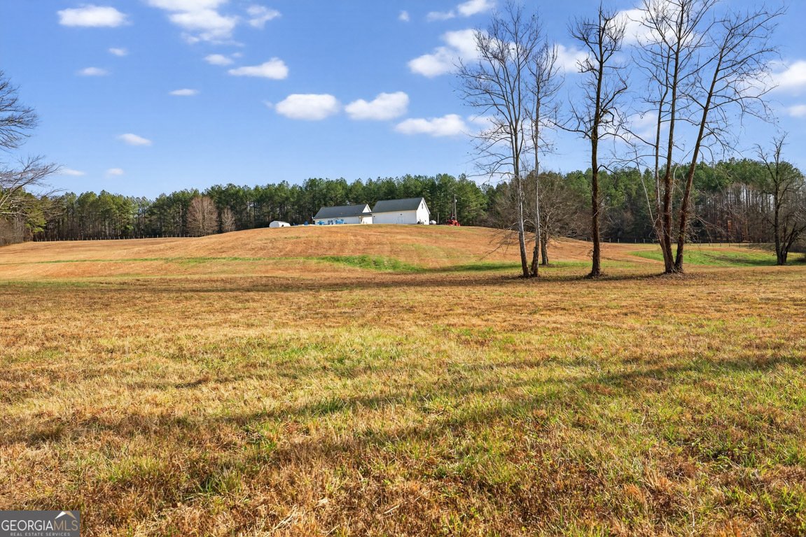 1035 McFarlin Bridge Road Carnesville - 73