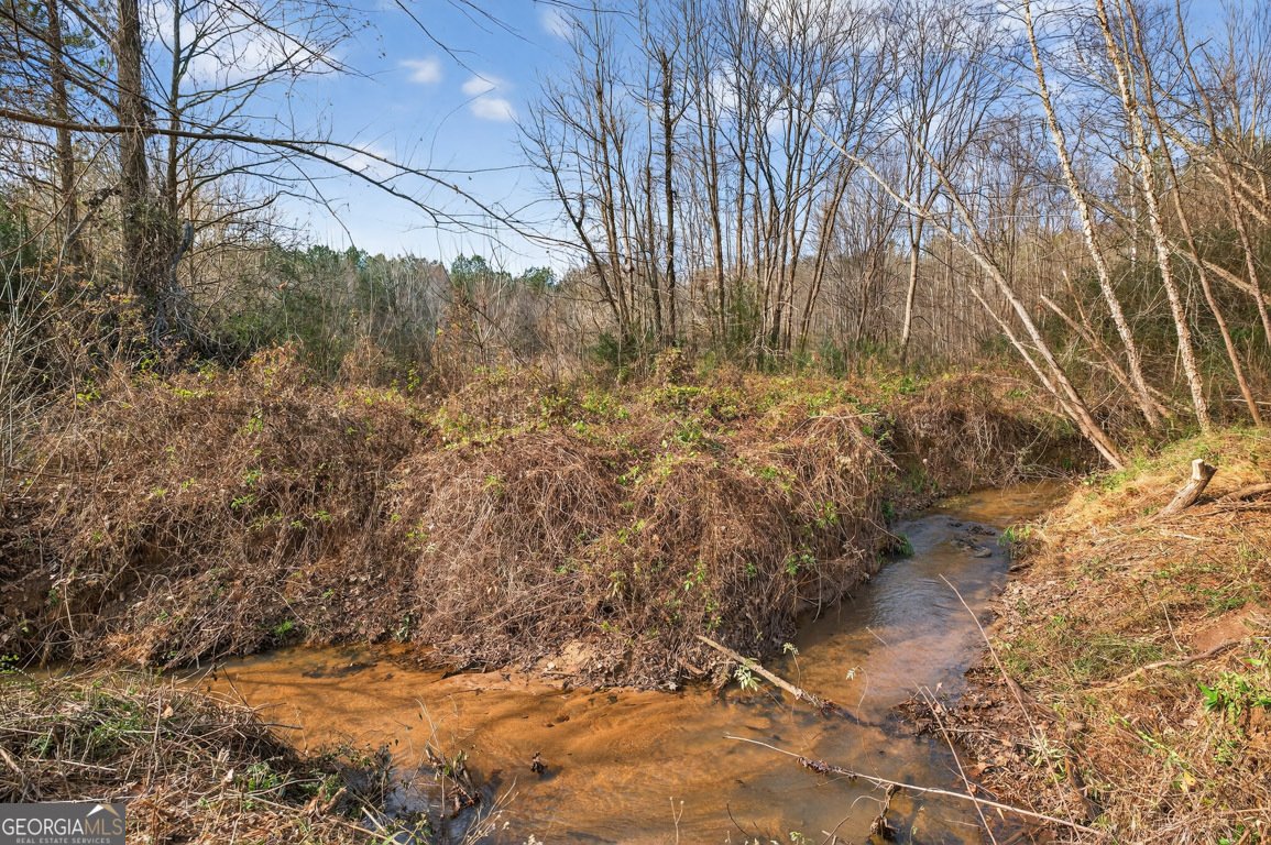 1035 McFarlin Bridge Road Carnesville - 74