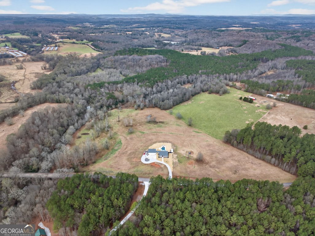 1035 McFarlin Bridge Road Carnesville - 81