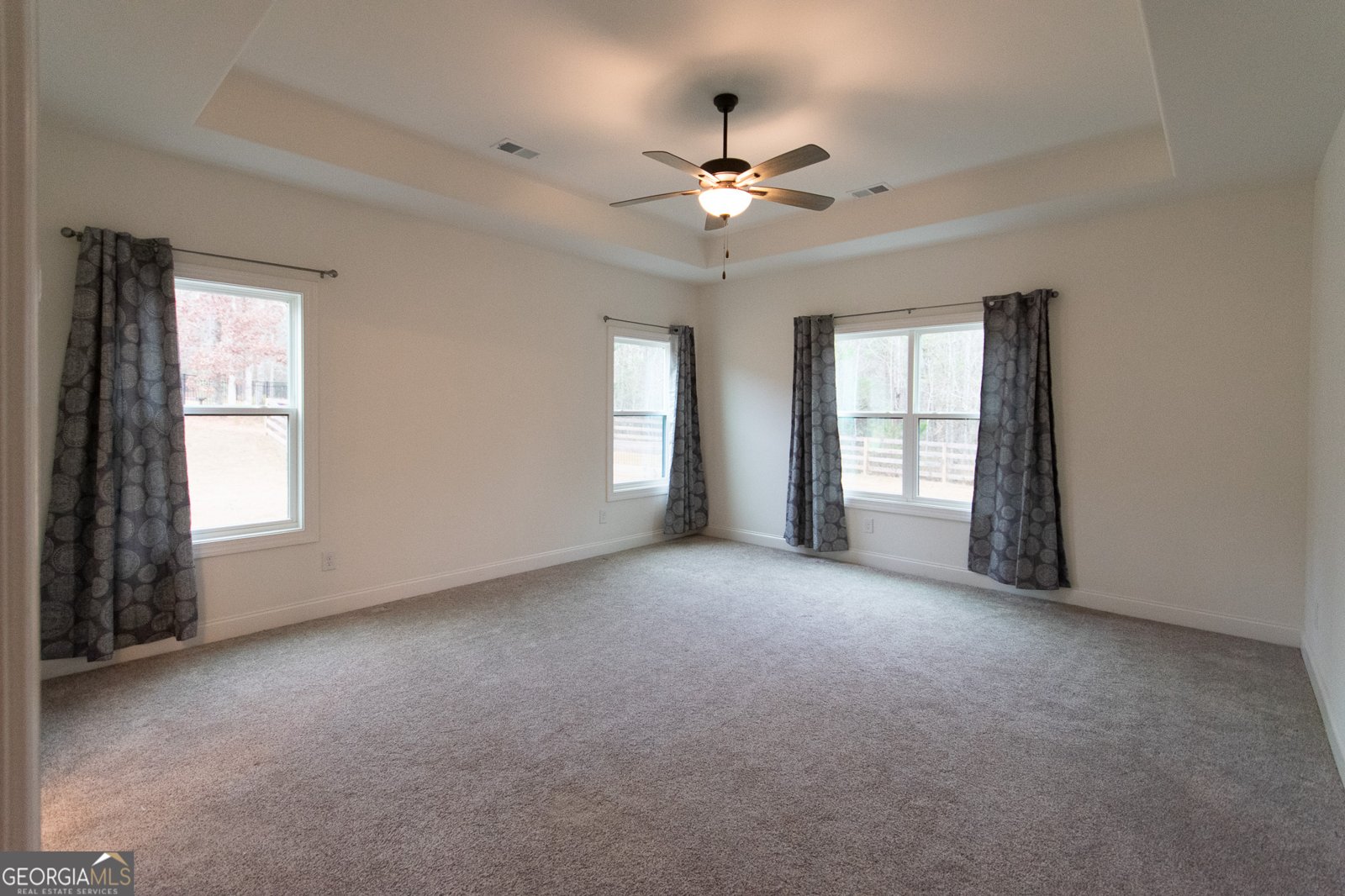 298 Walden Pond Trail Senoia - 21